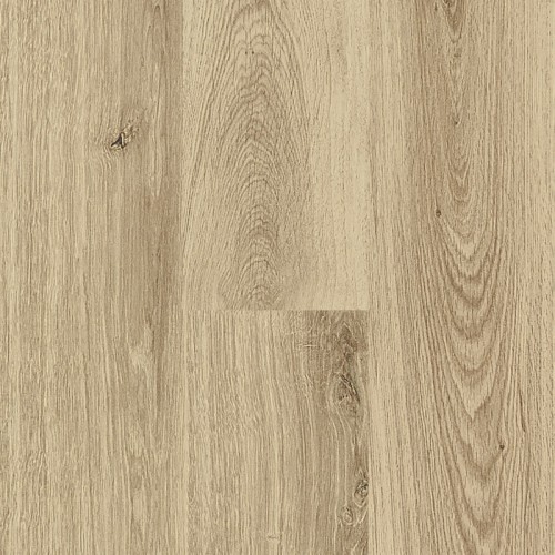 FRONTENAC OAK